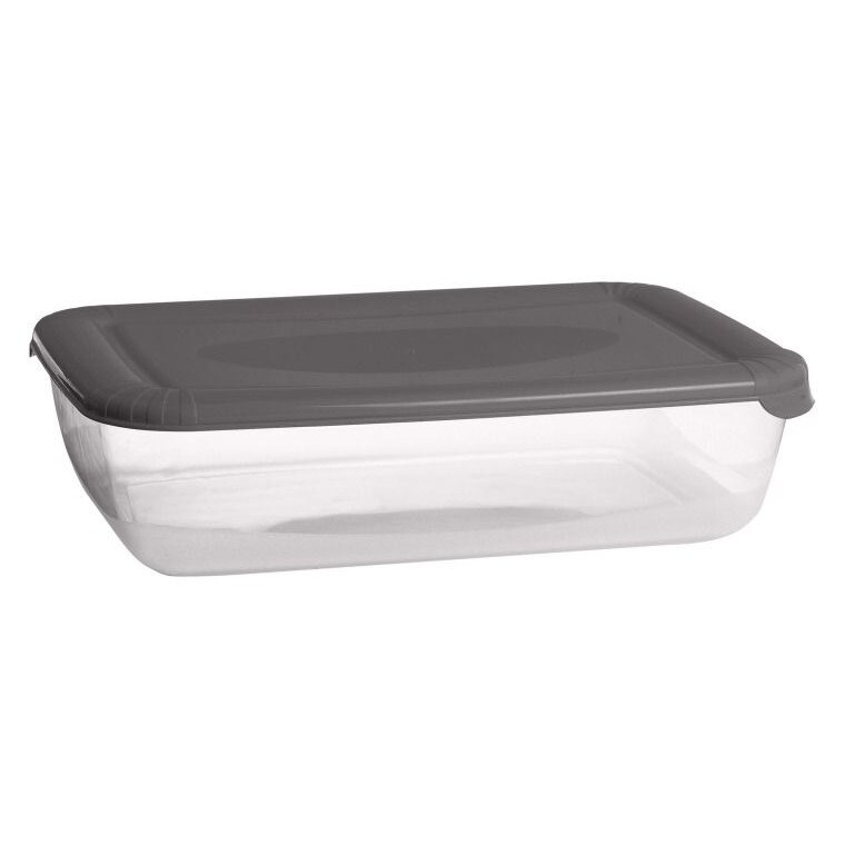 Recipient pentru Alimente cu capac, Albert, Domotti, 3L, Gri