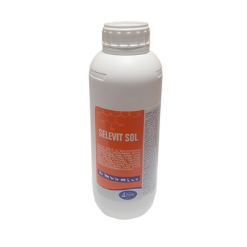 Solutie orala cu multivitamine pentru cabaline, ovine, bovine, caprine, caini, pisici, pasari, Selevit, Pasteur, 1L Solutie orala cu multivitamine pentru cabaline, ovine, bovine, caprine, caini, pisici, pasari, Selevit, Pasteur, 1L