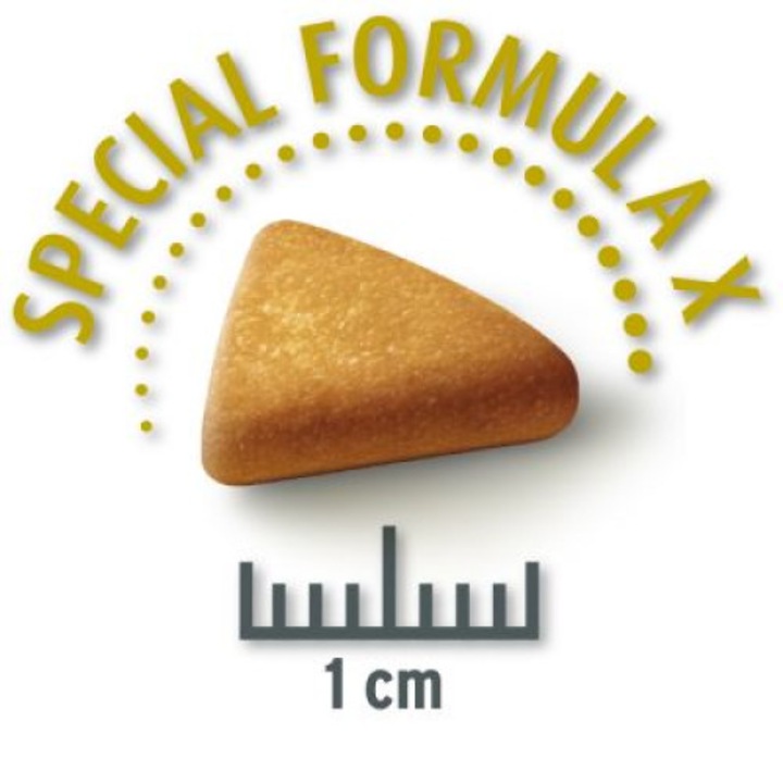 Concept for Life száraz kutyaeledel, 4 kg, kistestű felnőtt kutyák számára