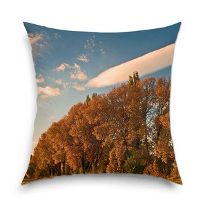 CauÈi Foisor Intro Apa Alege Din Oferta Emag Ro