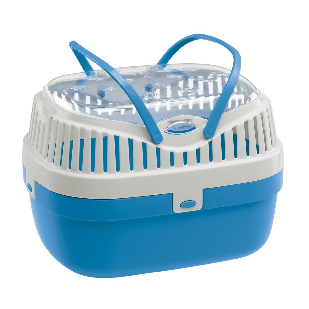 Cusca Aladino - medium