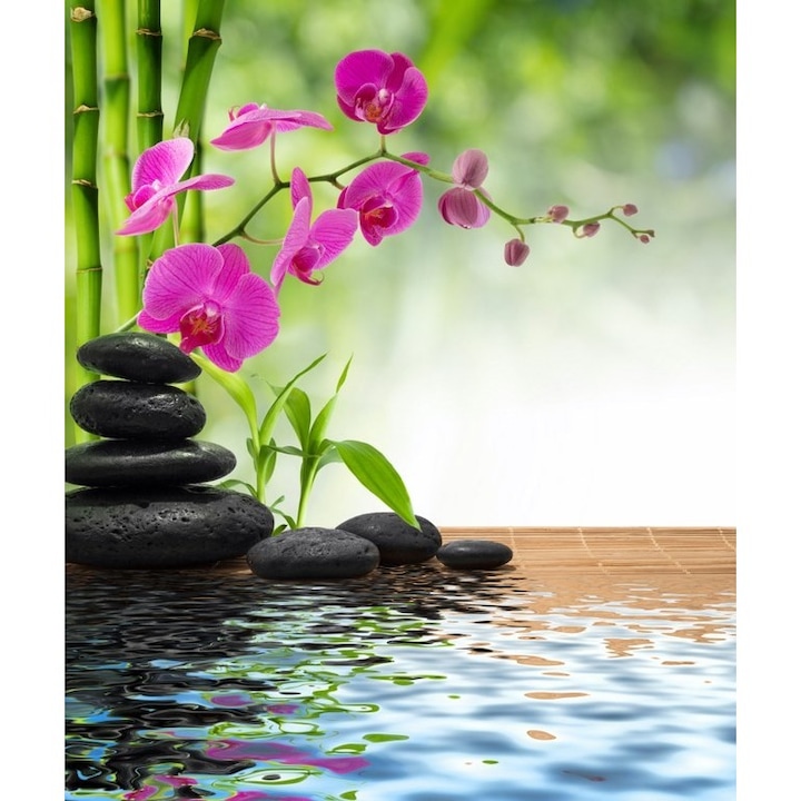 Vászonkép, bambusz, orchidea, víz, kő, feng shui 40x48 cm-es