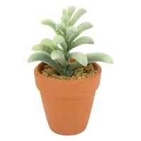 cactus in ghiveci offlimits ceramic 9 cm imagen 45_0_
0
