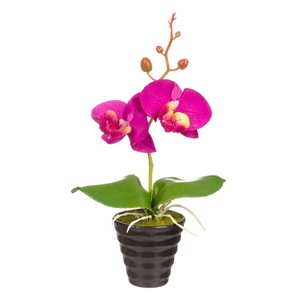Cauți Frunze Orhidee Artificiale Alege Din Oferta Emag Ro