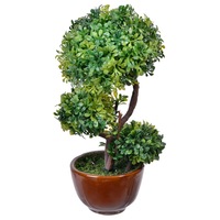 bonsai decorativ offlimits model cu ghiveci maro 19 cm imagen 44_2_
0