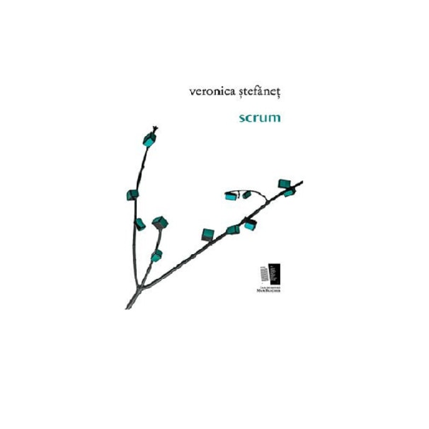 Scrum - Veronica Stefanet