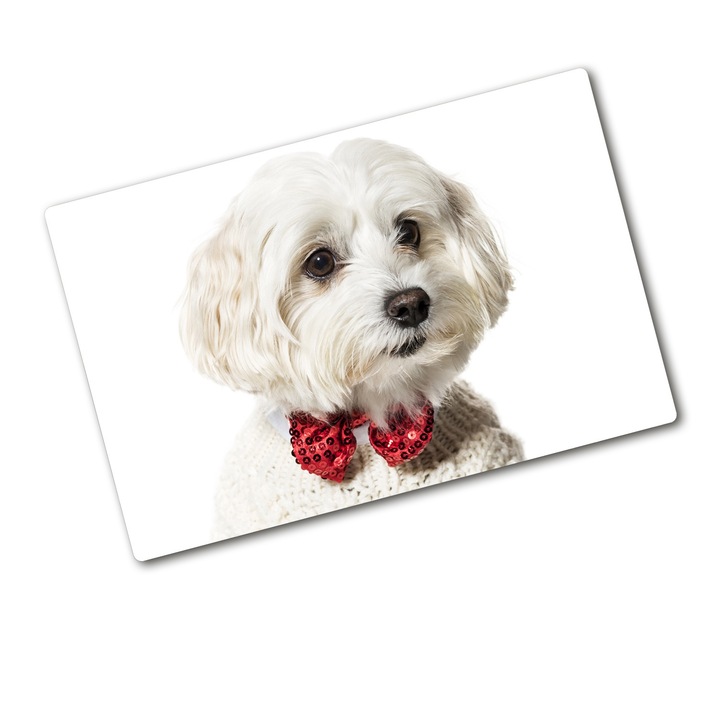 Tocator din sticla. 80 x 52. Catel cu papion. Rosu