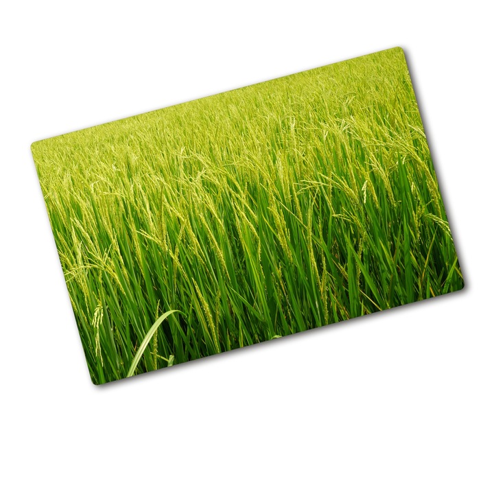 Tocator de bucatarie, Tulup, Camp de orez, Verde, 80x52 cm, 010010520060000006211
