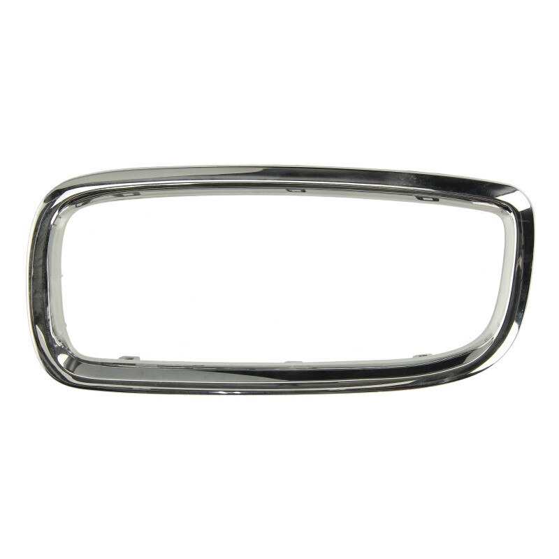 Grila radiator stanga,BMW Seria 7 E65,2002-2005,6502-07-0075997P