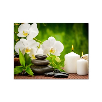 Tablou forex relaxare Zen feng shui 40x30 cm Tablou forex relaxare Zen feng shui 40x30 cm