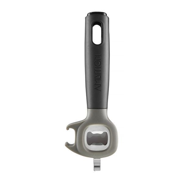 Deschizator de cutii , Ambition, Savant