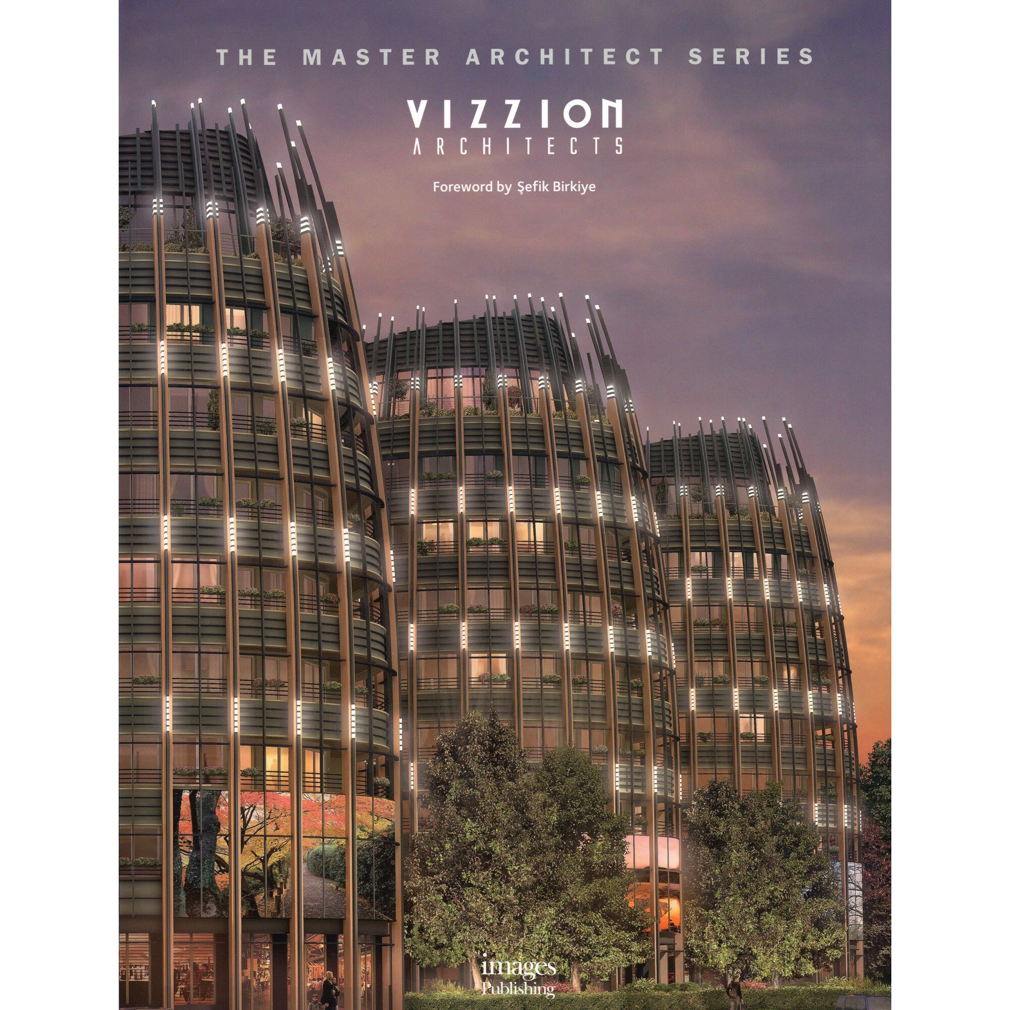 Vizzion Architects (Master Architect Series), Robyn Beaver