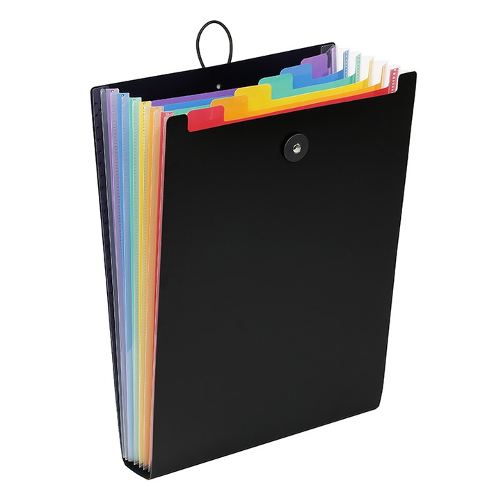 Organizator vertical Viquel 112067, Rainbow Class, A4, extensibil