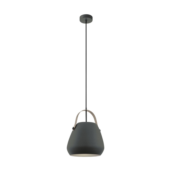 Пендел Eglo Bednall Indoor Pendant, 1 x E27 max 60W, IL-4598349