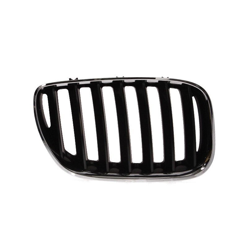 Grila radiator dreapta, BMW X5 E53, 2003-2006, 6502-07-0095996P