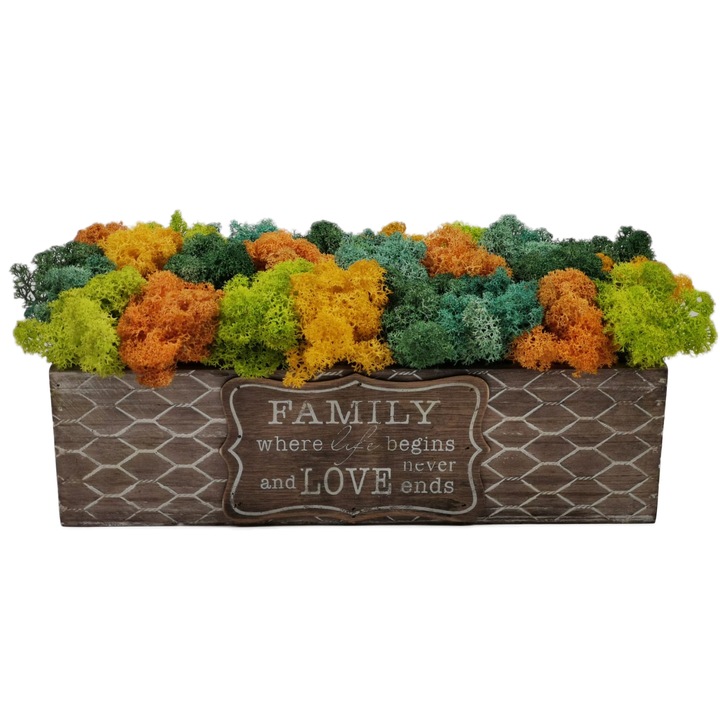Decoratiune cu licheni, Decor cu licheni, multicolor, 28 x 10 cm