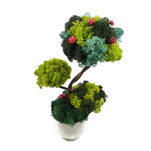 Decoratiune Cu Licheni Bonsai Decor Cu Licheni Multicolor Inaltime Cca 30 Cm Emag Ro