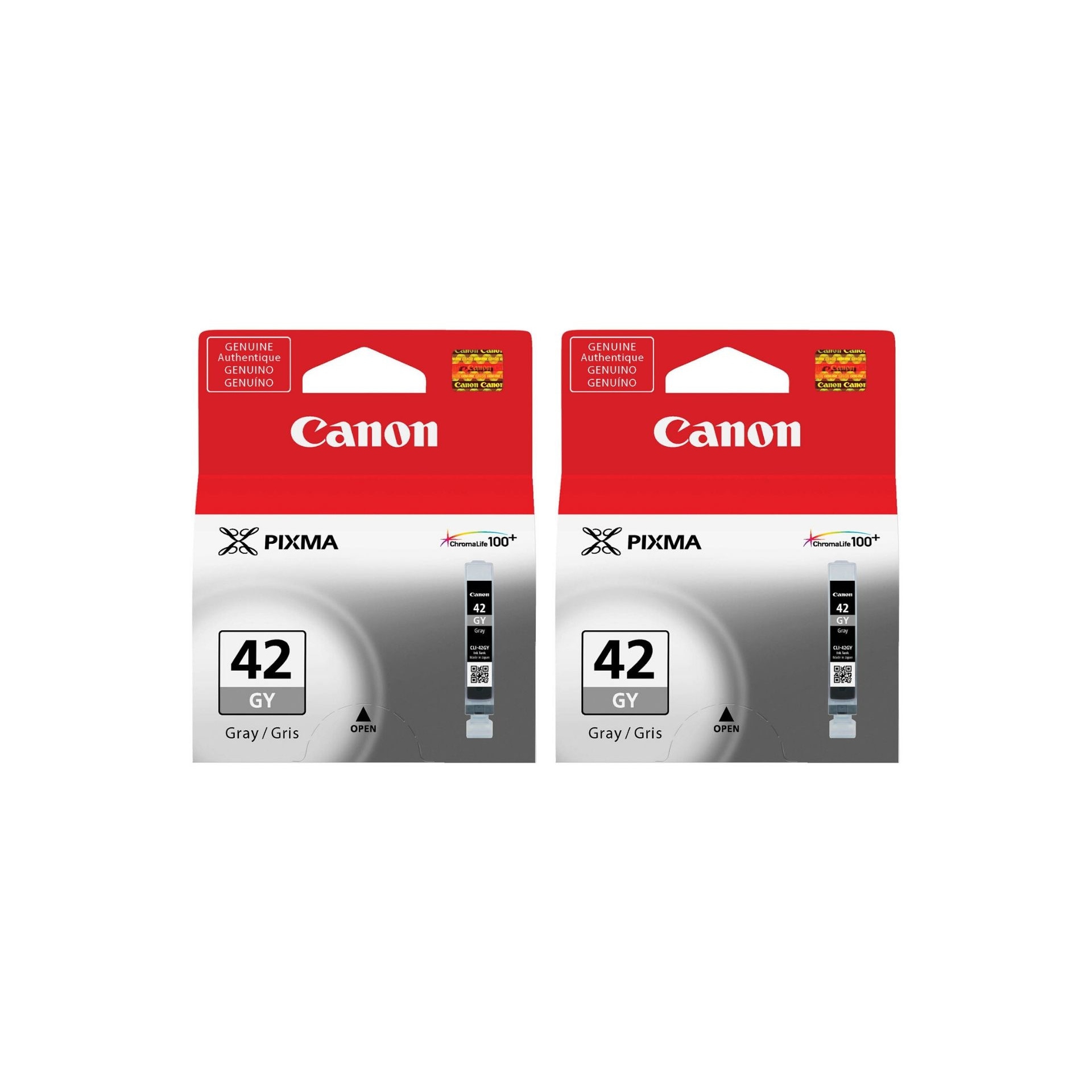 Pachet cartuse cerneala CLI-42GY gri x2 Canon original