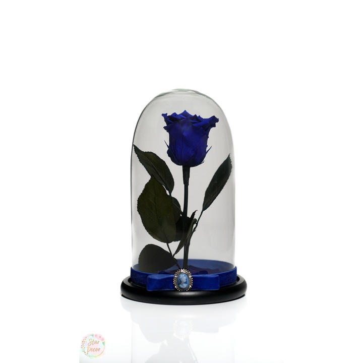 Trandafir criogenat in cupola de sticla 25 cm si brosa Camee, Albastru, Star Decor