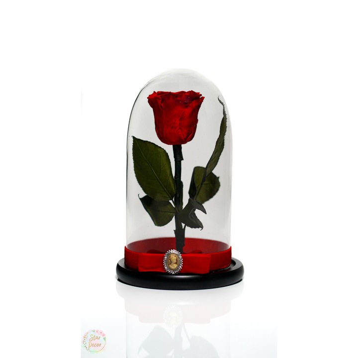 Trandafir criogenat in cupola de sticla 25 cm si brosa Camee, Rosu, Star Decor
