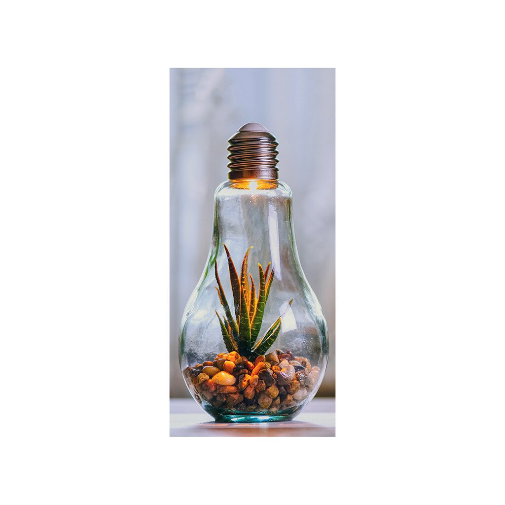 Autocolant usa Aloe, Folina, multicolor, 92x205 cm