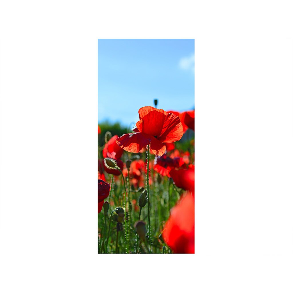 Autocolant usa Floare de mac, Folina, 92x205 cm