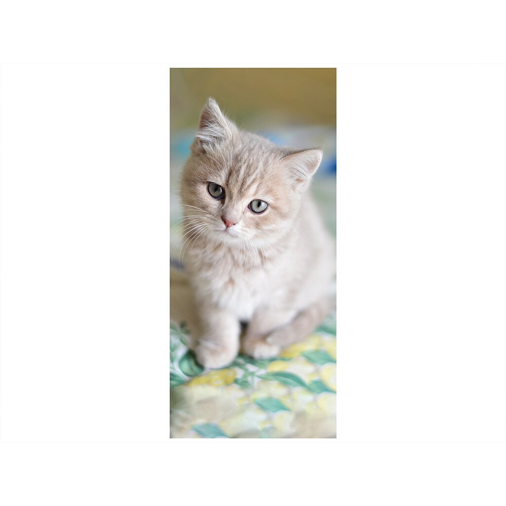 Autocolant usa Pisica, Folina, gri, 92x205 cm