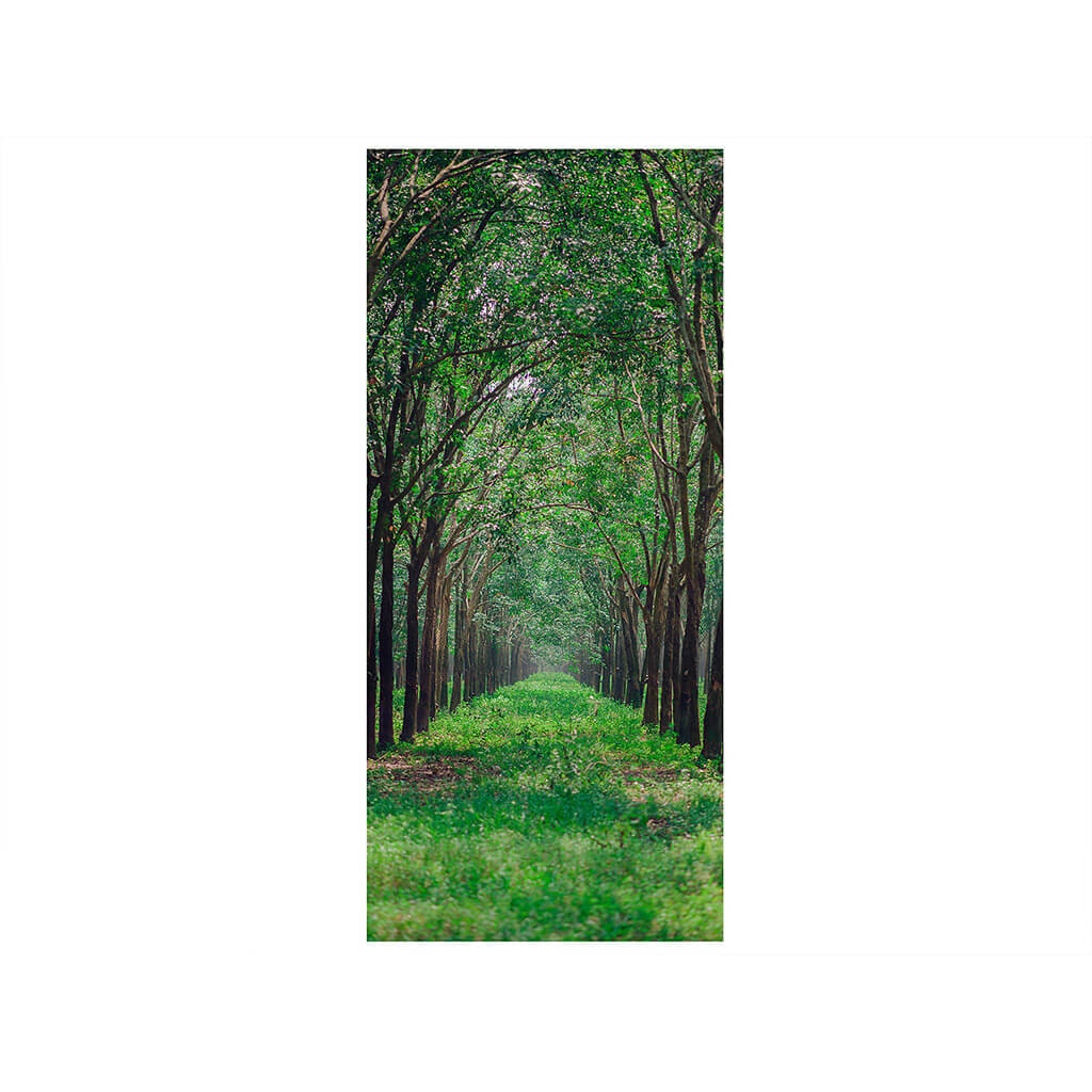 Autocolant usa Natura, Folina, verde, 92 x 205 cm