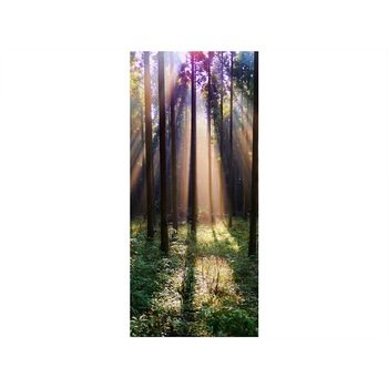 Autocolant usa Raze de lumina, Folina, 92 x 205 cm Autocolant usa Raze de lumina, Folina, 92 x 205 cm