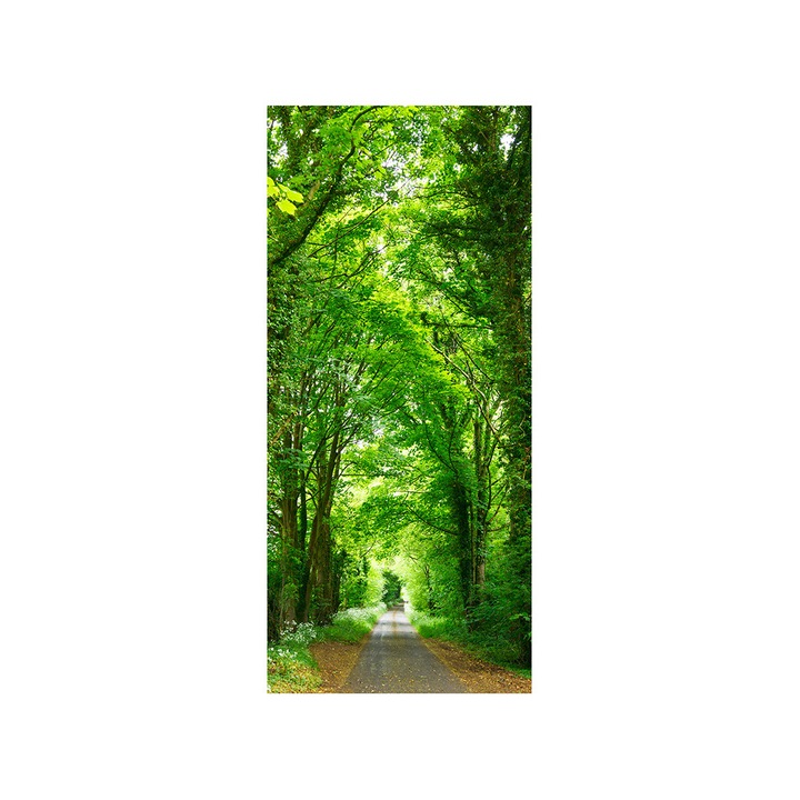 Autocolant usa Drum prin padure, Folina, verde, 92x205 cm