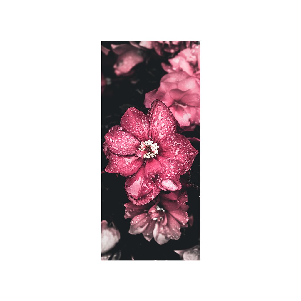 Autocolant usa Floare roz, Folina, floral, 92x205 cm