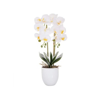 Cauți Frunze Orhidee Artificiale Alege Din Oferta Emag Ro