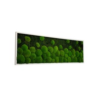 tablou muschi bombati si plati naturali jolie arts dimensiune 50 x 150 cm rama alba imagen 9_0_
0