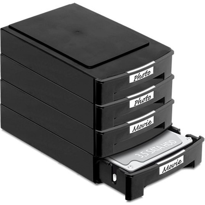 Rack Hard-disk Delock 61970, 2x 3.5" HDD, Negru