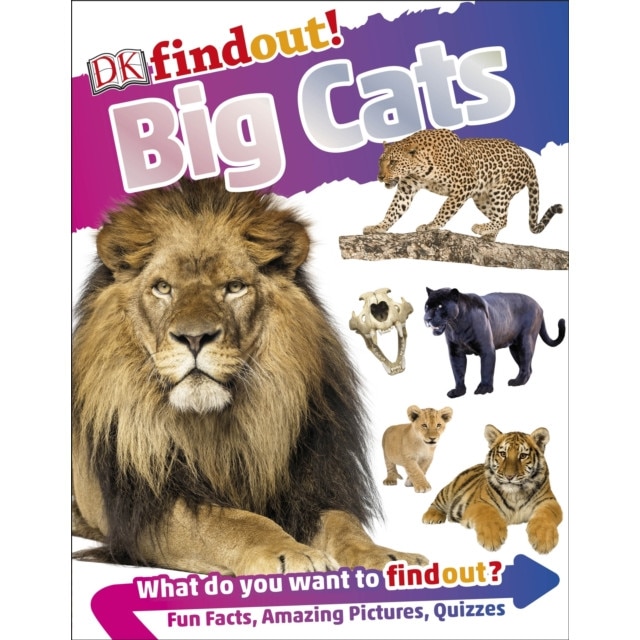 DKfindout! Big Cats de DK