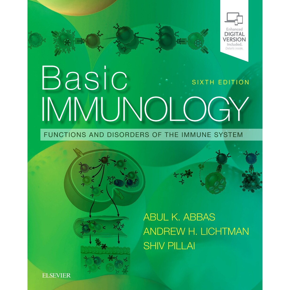 Basic Immunology de Abul K. Abbas