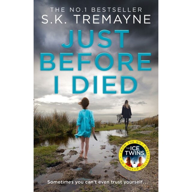 Just Before I Died de S. K. Tremayne
