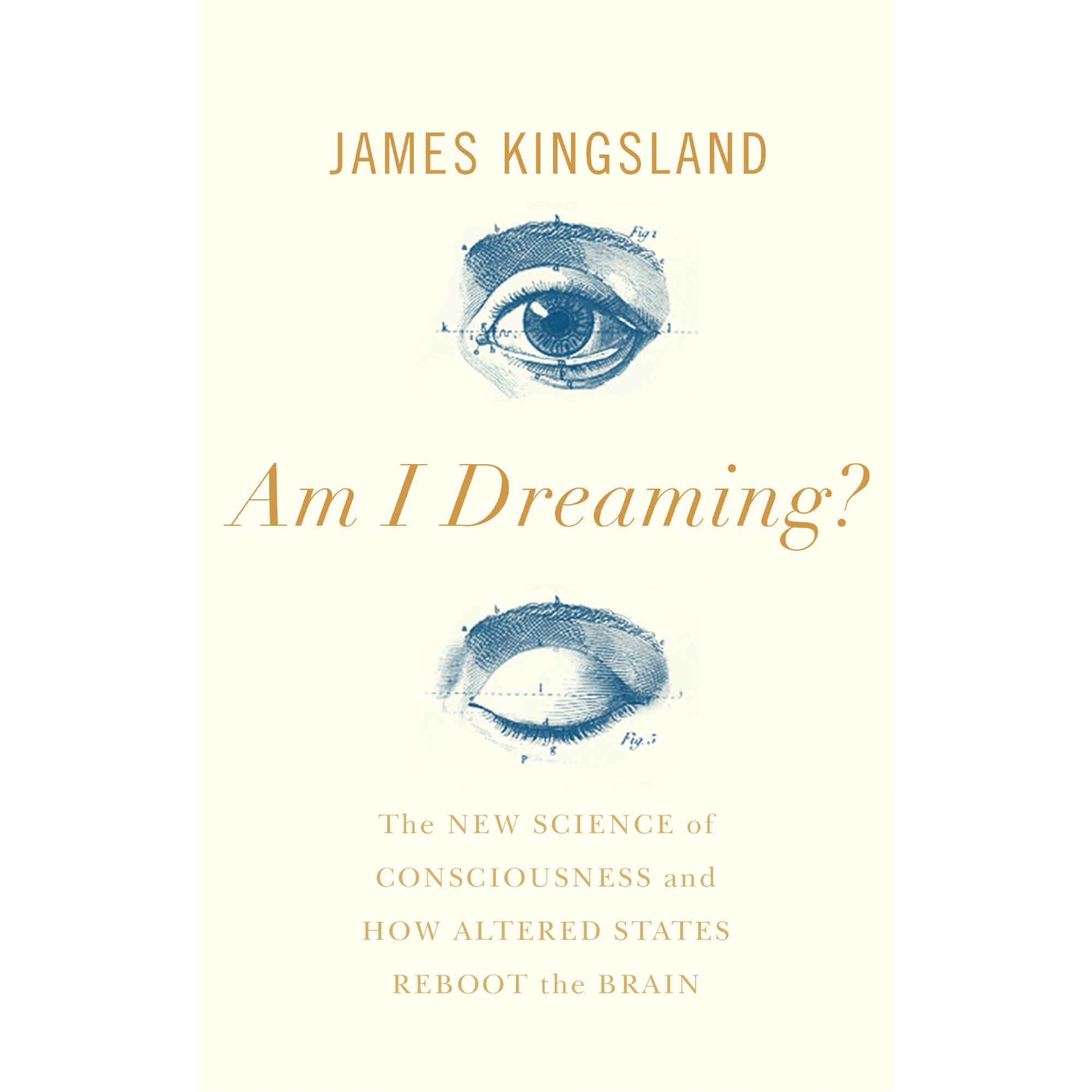 Am I Dreaming? de James Kingsland