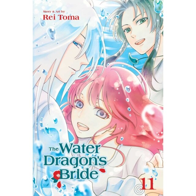 The Water Dragon's Bride, Vol. 11 de Rei Toma