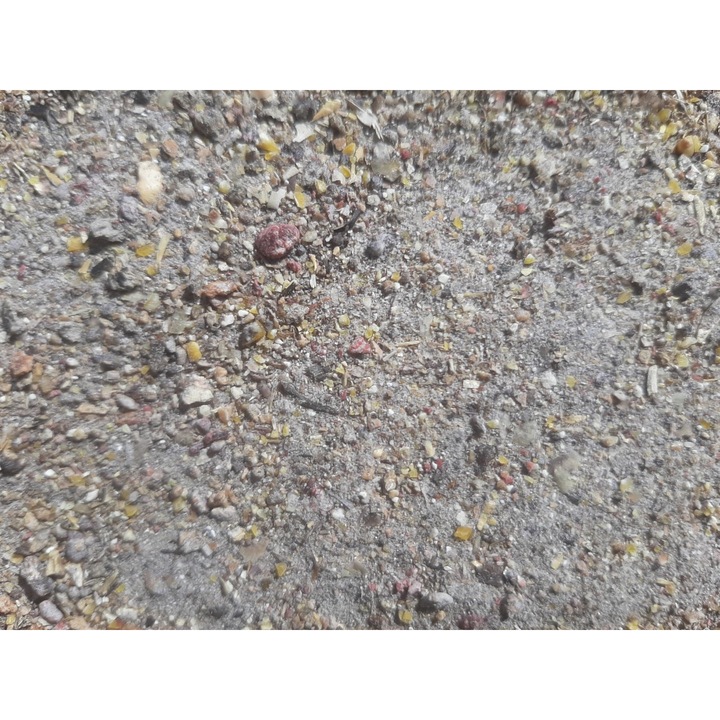 Nada pentru pescuitul crapului si pescuit stationar FeederMix Faina peste, 1 kg