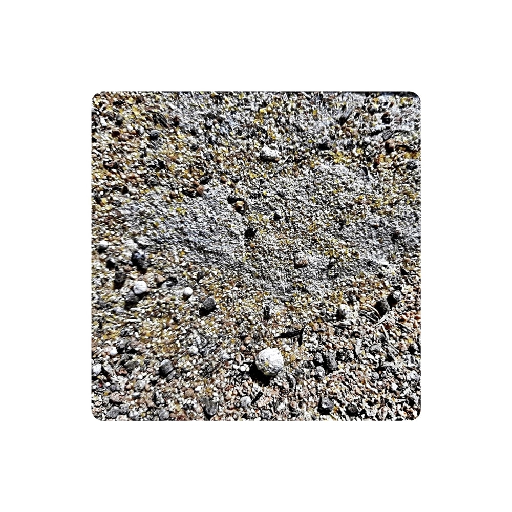 Nada pentru pescuitul crapului si pescuit stationar FeederMix Faina Usturoi, 1 kg