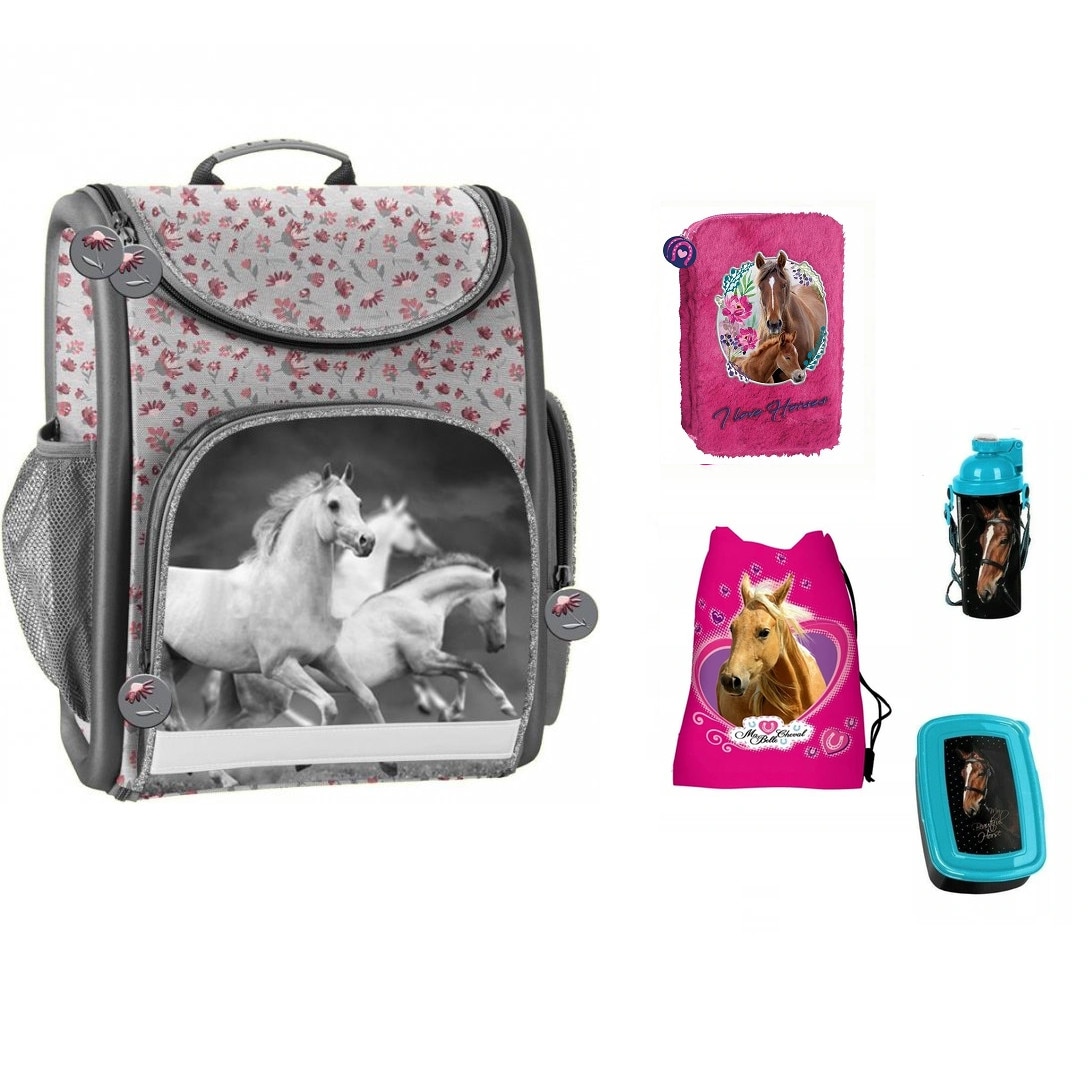 Set ghiozdan scoala, Cal, penar, cas pentru pantofi, cutie pentru pranz, sticla de apa, multicolor