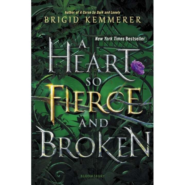 A Heart So Fierce and Broken de Brigid Kemmerer