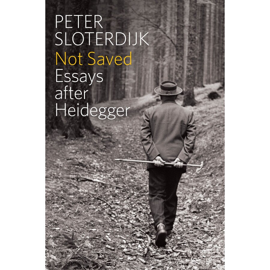 Not Saved de Peter Sloterdijk