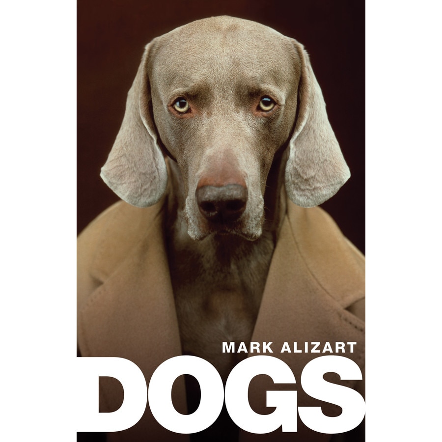 Dogs de Mark Alizart