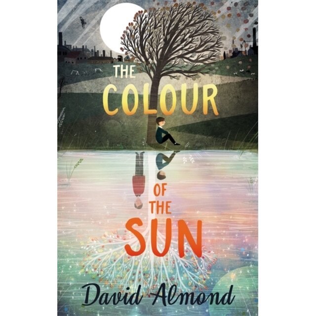 The Colour of the Sun de David Almond