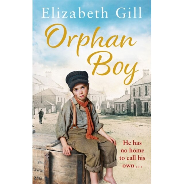 Orphan Boy de Elizabeth Gill