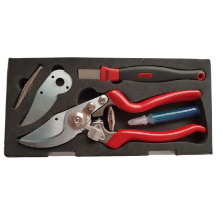 Trusa de colectie B338CS, foarfeca profesionala de gradina diametru de taiere 25 mm