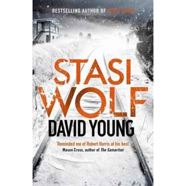Stasi Wolf de David Young