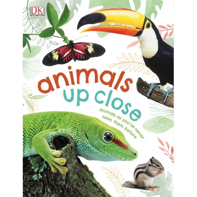 Animals Up Close de DK